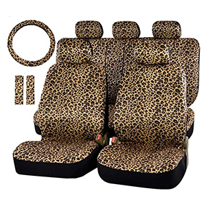 Car Interior Accessories