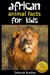 Shop Non Fiction books