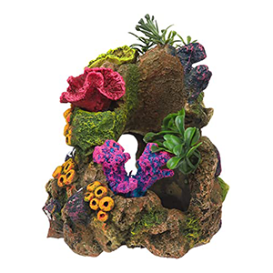 Aquarium Decor